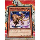 HYPER TETE DE MARTEAU STARFOIL ( BP01-FR185 )