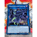 TRANSCENDOSAURE EXARAPTOR ( AGOV-FR044 )