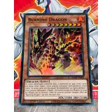 BURNING DRAGON ( AGOV-FR094 )