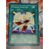 PIOCHE EVOLUEE ( ANPR-FR047 )