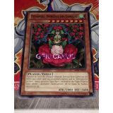 TYTANNIAL, PRINCESSE DES CAMELIAS ( AP04-FR019 )