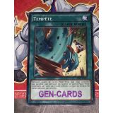 TEMPETE ( AP07-FR023 )