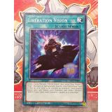 LIBERATION VISION ( BLC1-FR085 )