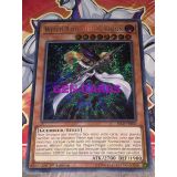 WITCH RAID HEROS VISION ( BLLR-FR026 )