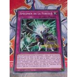 SPECIMEN DE LA FORCE-S ( BLVO-FR071 )