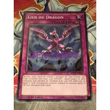 LIEN DU DRAGON ( BOSH-FR069 )