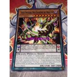 YEUX IMPAIRS, ROI SUPREME DU DRAGON ( COTD-FR015 )