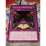 TENUE DU CREPUSCULE ( COTD-FR073 )