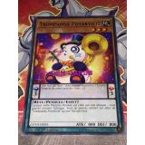 TROMPANDA POTARTISTE ( COTD-FR095 )