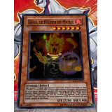 GOKA, LE BUCHER DE MALICE ( CSOC-FR095 )