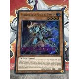 VEILLEUR DE LA MAGIE DU DRAGON ( CT15-FR004 )