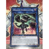 DRAGON BORROLLEMINI ( CYHO-FR040 )