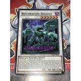 BOUDRAGON BOUEUX ( DANE-FR081 )