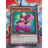 AQUACTRICE GUPPY ( DLCS-FR091 )