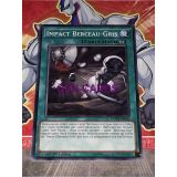 IMPACT BERCEAU-GRIS ( DOCS-FR062 )