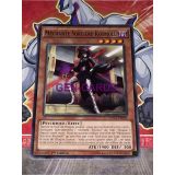 MECHANTE SORCIERE KOZMOLL ( DOCS-FR083 )