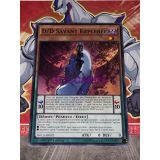 D/D SAVANT KEPLEREE ( DOCS-FR092 )