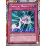 GOSSE DU MIRACLE ( DP03-FR028 )