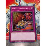 AVIDITE TEMERAIRE ( EGS1-FR035 )