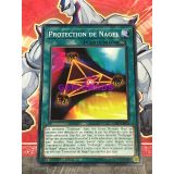 PROTECTION DE NAGEL ( EXFO-FR054 )