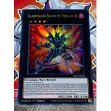 SALAMANGRANDE DRAGON DE L EMBRASEMENT ( GFP2-FR025 )