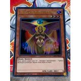 VENUS, AGENT DE LA CREATION ( GFP2-FR049 )