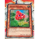 FRAISE NATURIA ( HA04-FR021 )