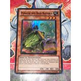 PUNAISE DES BOIS NATURIA ( HA04-FR048 )