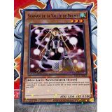 SHAMAN DE LA VALLEE DE BRUME ( HAC1-FR057 ) DUEL TERMINAL