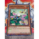 LIBELLULE NATURIA ( HAC1-FR101 ) DUEL TERMINAL