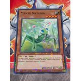 MANTE NATURIA ( HAC1-FR113 ) DUEL TERMINAL