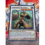 LANDOISE NATURIA ( HAC1-FR123 ) DUEL TERMINAL