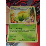 FLORAVOL 60PV ( 51/123 )