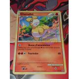 CHAMALLOT 60PV ( 35/95 )