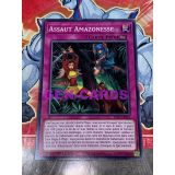 ASSAUT AMAZONESSE ( LDS1-FR025 )