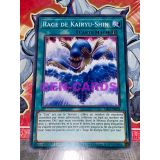 RAGE DE KAIRYU-SHIN ( LDS1-FR028 )