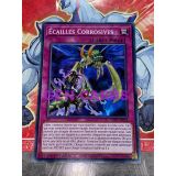 ECAILLES CORROSIVES ( LDS1-FR074 )