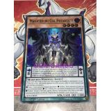 MAGICIEN DU CIEL POTARTISTE ( LED6-FR045 )