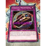 CERCUEIL MALEFIQUE ( LEDD-FRA30 )