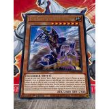 BUSTER BLADER, MAITRE DE L EPEE DESTRUCTRICE ( MAGO-FR100 )