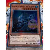 COELACANTHE LE ROI DES MERS MILLENAIRE ( MAZE-FR036 )