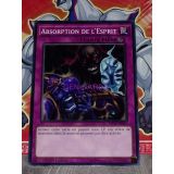 ABSORPTION DE L'ESPRIT ( MP14-FR053 )