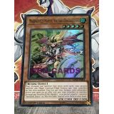 MADEMOISELLE MAJESTE VERITABLE DRACOCICIENE ( MP18-FR004 )