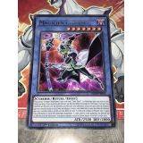 MAGICIEN CYBERSE ( MP19-FR095 )