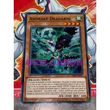 ANDRAKE DRAGARDE ( MP20-FR011 )