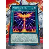 ASCENDANT FEU ( MP20-FR128 )