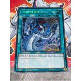 LIMITER REMOVAL NEW ARTWORK ( MP24-FR057 )