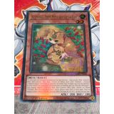 KITTYTAIL, BETE MYSTIQUE DE LA FORET ( MP24-FR