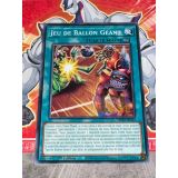 JEU DE BALLON GEANT ( MP24-FR325 )