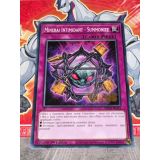 MINERAI INTIMIDANT - SUMMONITE ( MP24-FR334 )